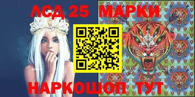 спиды Бийск