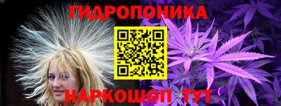 спиды Бийск
